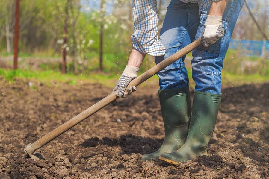 Le zappe fanno un ottimo lavoro nel tenere a bada le erbacce senza doversi chinare