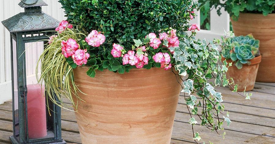 I piedi in vaso sollevano i contenitori delle piante dal ponte o dal patio