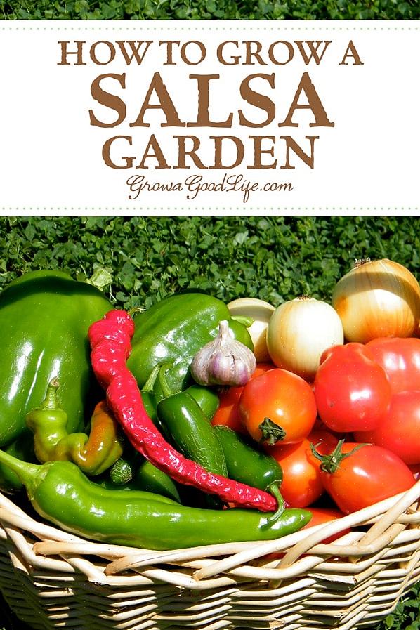 Puoi comunque goderti la salsa fatta in casa coltivando peperoni dolci nel tuo giardino di salsa