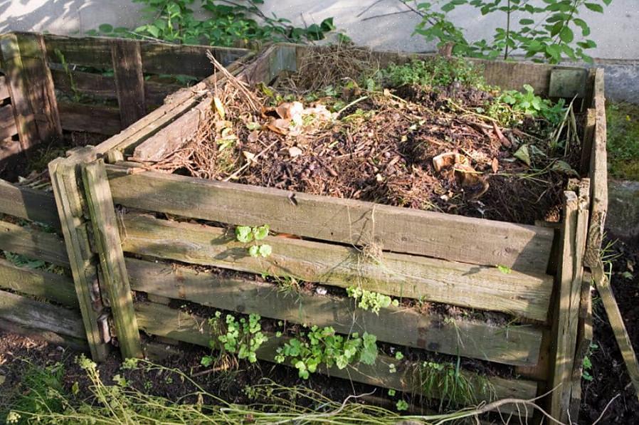 Incoraggiano il giardiniere a coltivare colture specifiche per il cumulo di compost