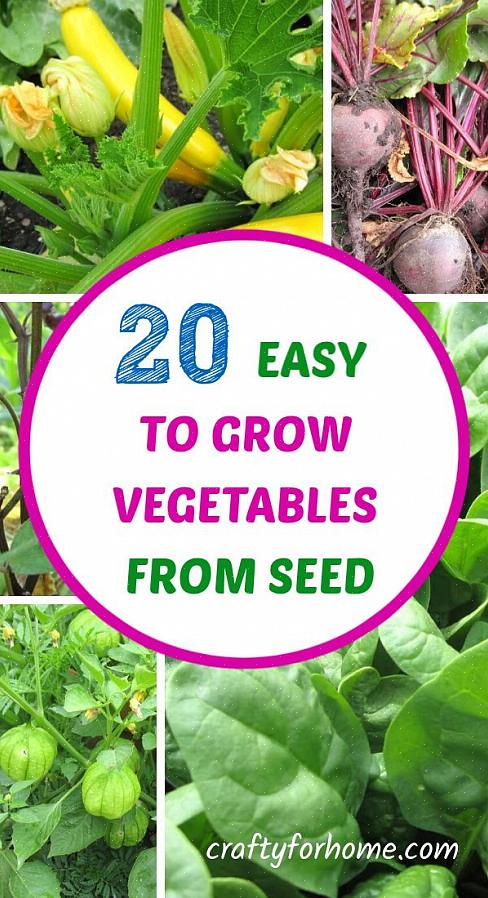 Coltiva i fagioli con la semina diretta in giardino