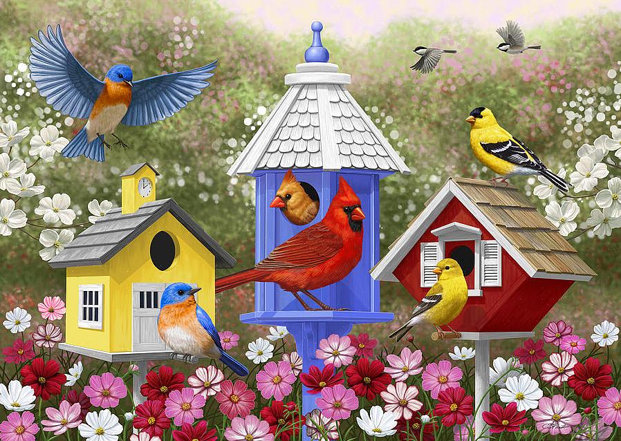 Dipingere le casette per gli uccelli è sicuro o le casette dipinte sono meno attraenti o addirittura