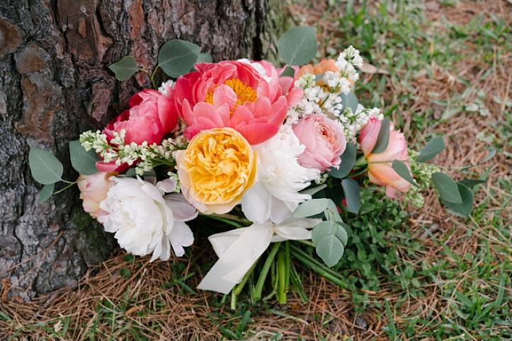 Le spose che scelgono fiori nuziali rosa o bianchi possono aggiungere il fiore piumato di Liatris