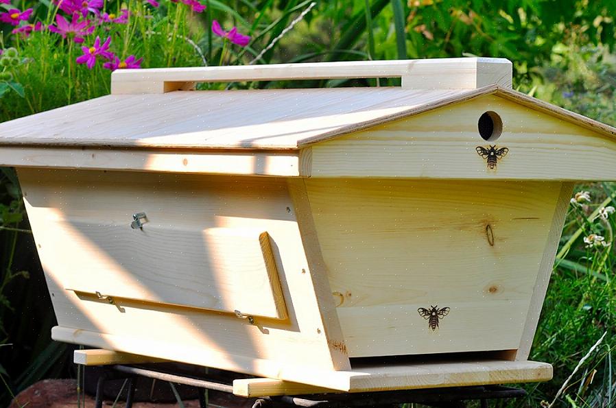 B Honey Farm vende api confezionate