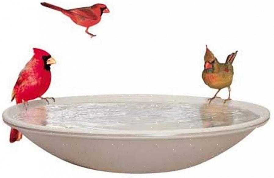Utilizzando un bagno per uccelli riscaldato in modo appropriato