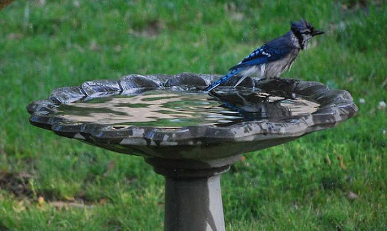 Più profonda o raggruppa diversi piccoli bagni per uccelli per creare una fontana improvvisata