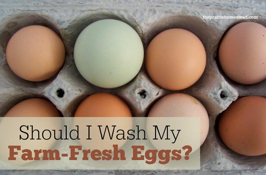 Esistono due metodi di base per pulire le uova di gallina