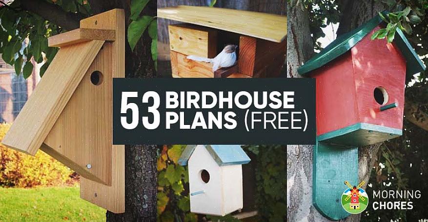 È facile costruire una casetta per gli uccelli quando si sfrutta i diversi piani gratuiti di voliera