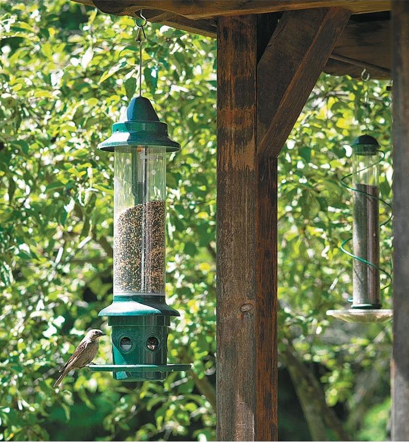 Esistono molti modi per rendere una mangiatoia per uccelli meno accessibile agli scoiattoli senza limitare