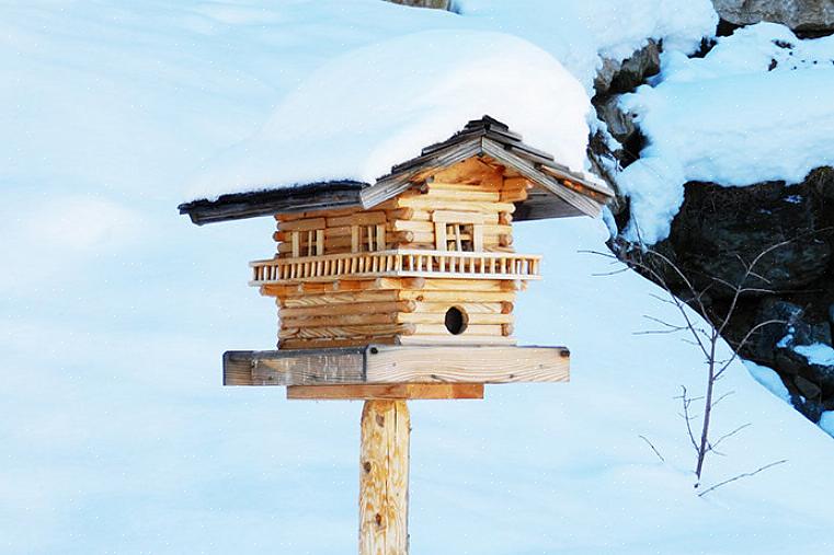 Esistono molti modi per fornire un riparo sicuro per gli uccelli invernali