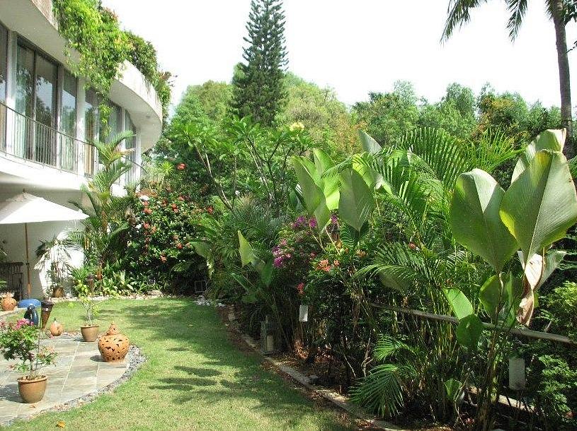 Un progetto di giardino fiorito tropicale di successo includerà uno spazio negativo