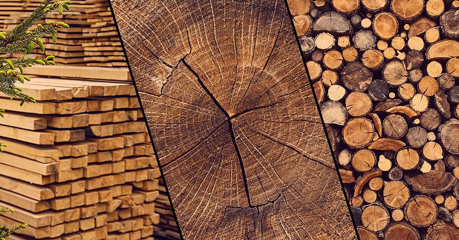 Si potrebbe pensare che una specie di legno identificata come legno duro sarà sempre più dura