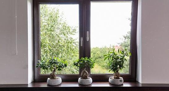 Le finestre in legno possiedono un fascino classico che il vinile può solo sperare di trasmettere