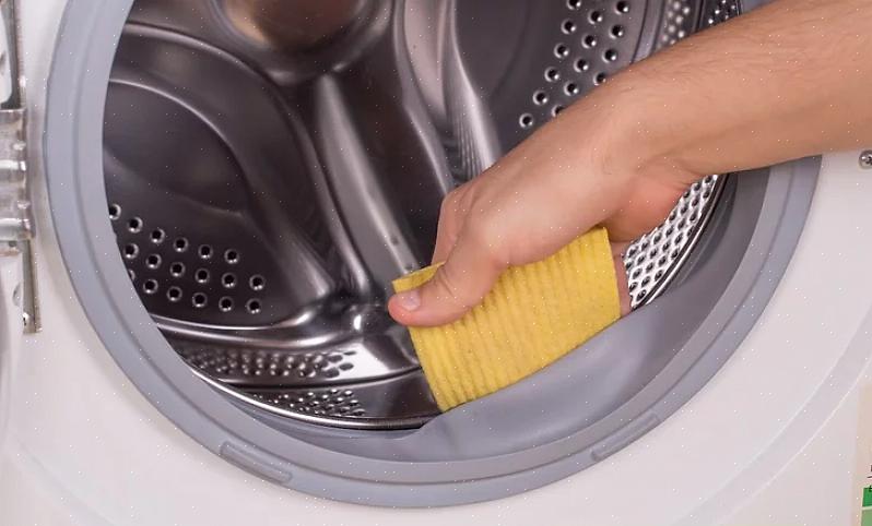 Pulisci l'esterno della lavatrice con aceto o il tuo detergente multiuso preferito
